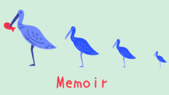 Eye-catching image for Memoir